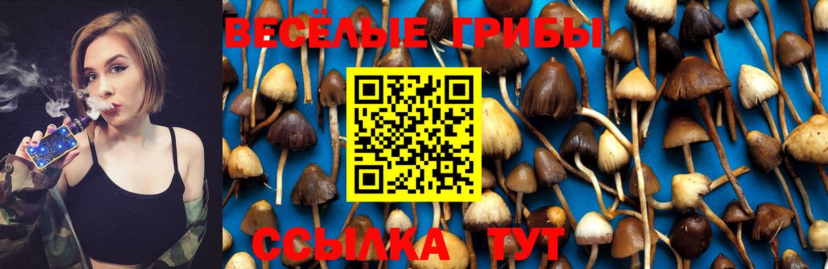Галлюциногенные грибы GOLDEN TEACHER Лесозаводск