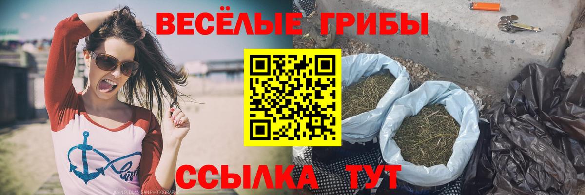 Галлюциногенные грибы Magic Shrooms  Галлюциногенные грибы GOLDEN TEACHER  Вход с VPN  Лесозаводск 